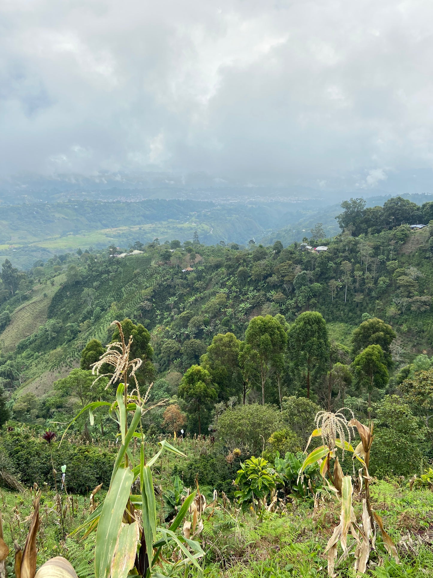 COLOMBIA/Gildardo Ortega