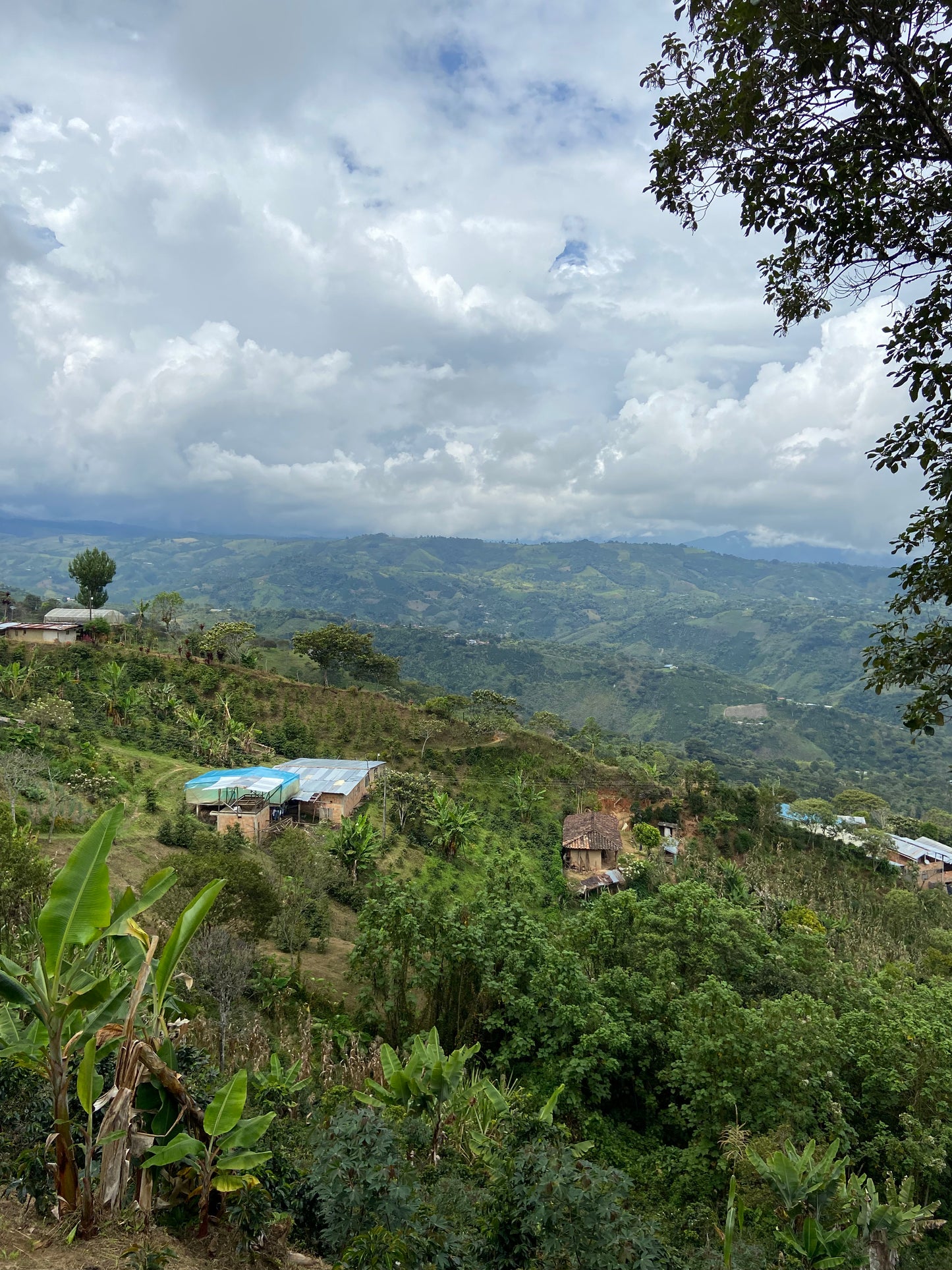 COLOMBIA/Gildardo Ortega