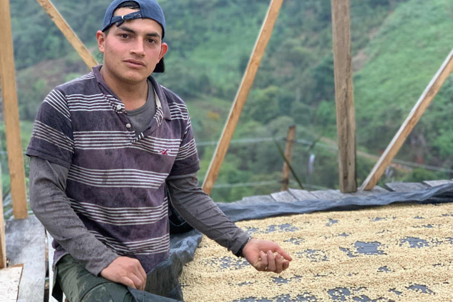 COLOMBIA/Stiven Hoyos "Red Caturra"
