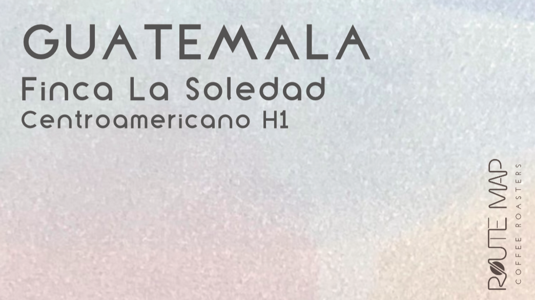 GUATEMALA/Finca La Soledad Centroamericano H1