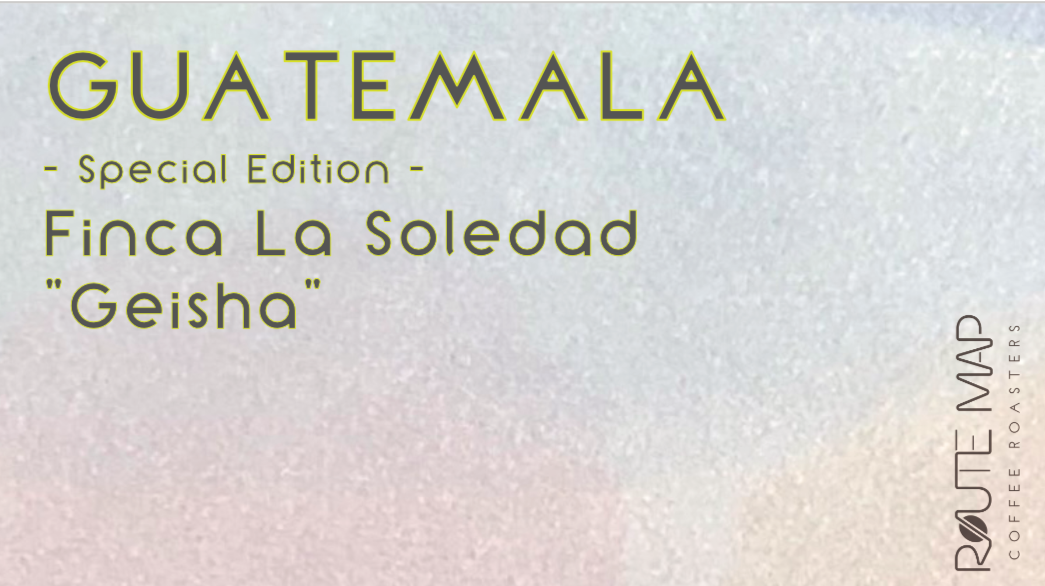 【Special Edition】GUATEMALA/Finca La Soledad "Geisha"