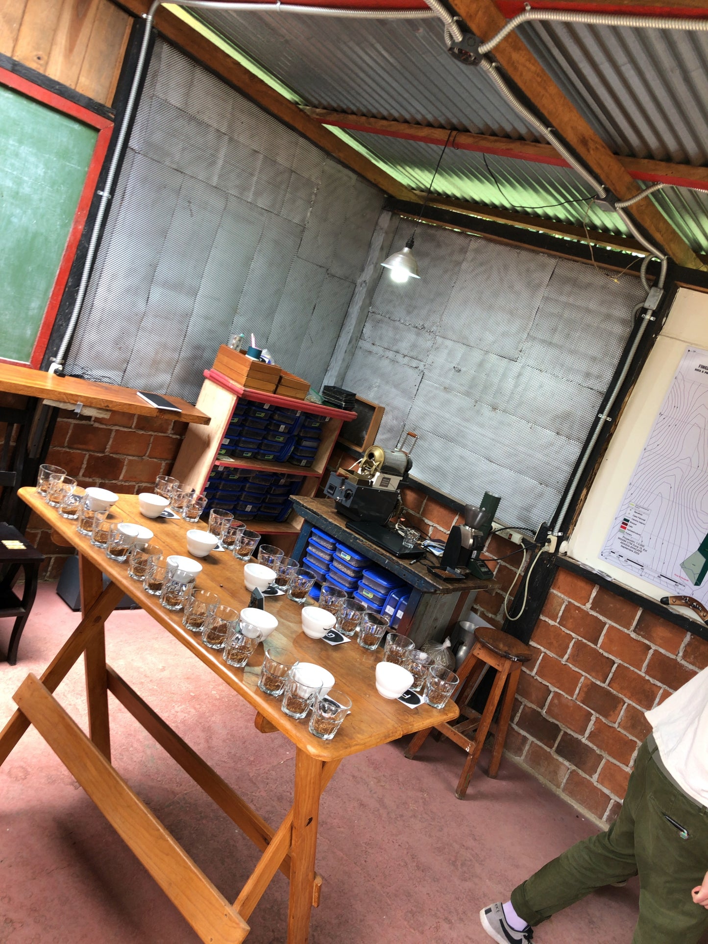 【Special Edition】GUATEMALA/Finca La Soledad "Geisha"