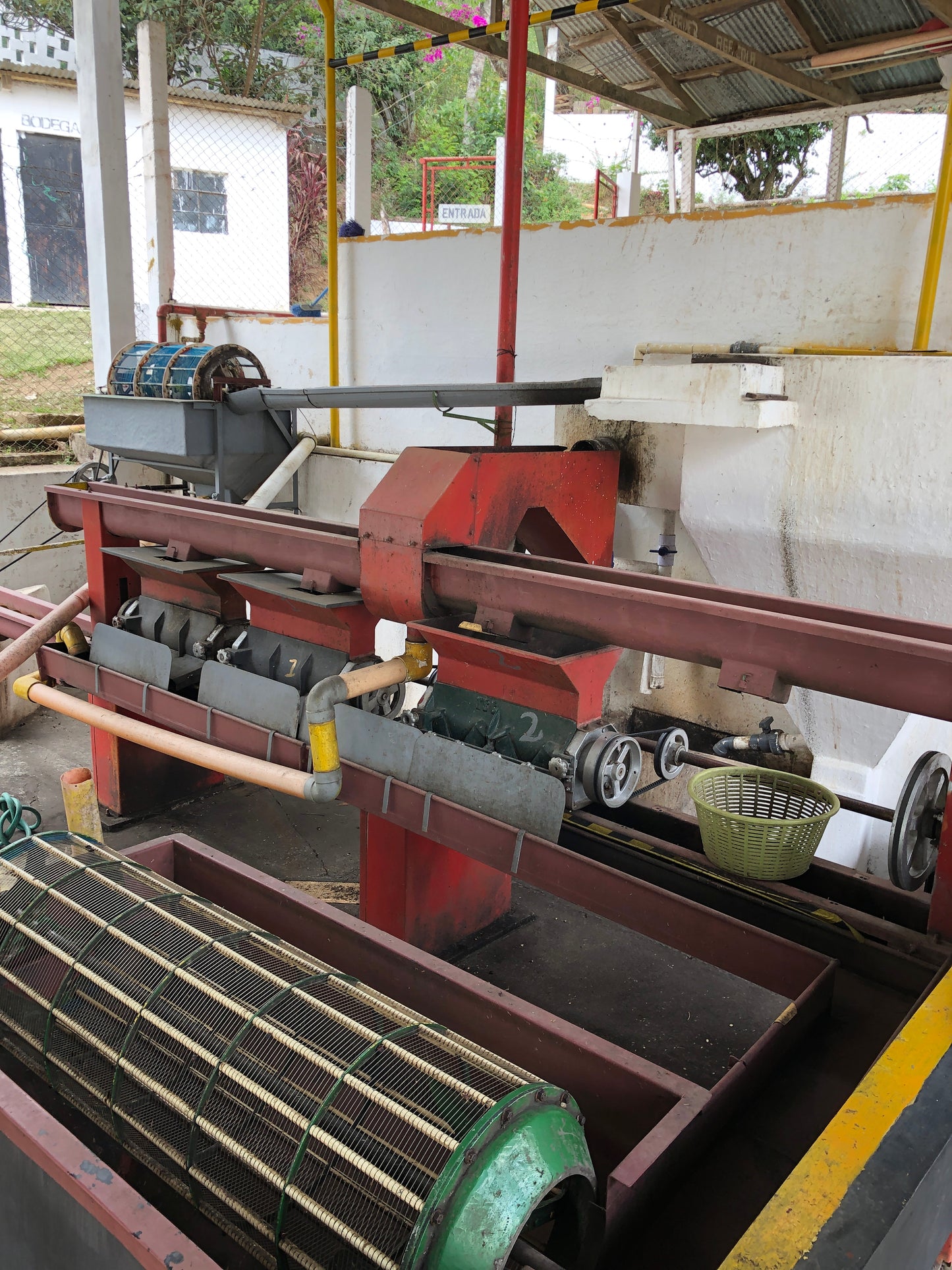 【Special Edition】GUATEMALA/Finca La Soledad "Geisha"