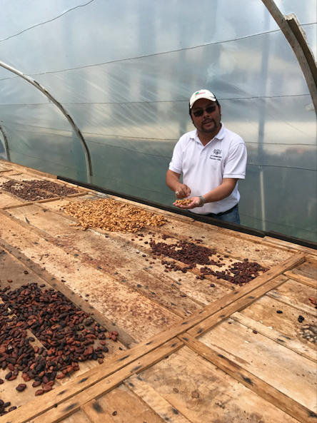 DECAF/Selva Negra La Hammonia