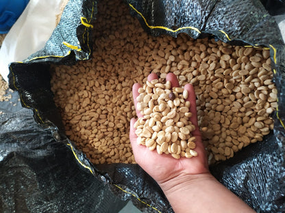 【Special Edition】COLOMBIA/Angel Ortega "Geisha"