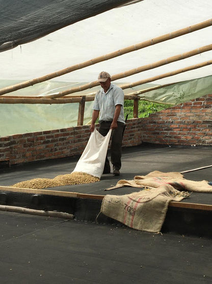 【Special Edition】COLOMBIA/Angel Ortega "Geisha"