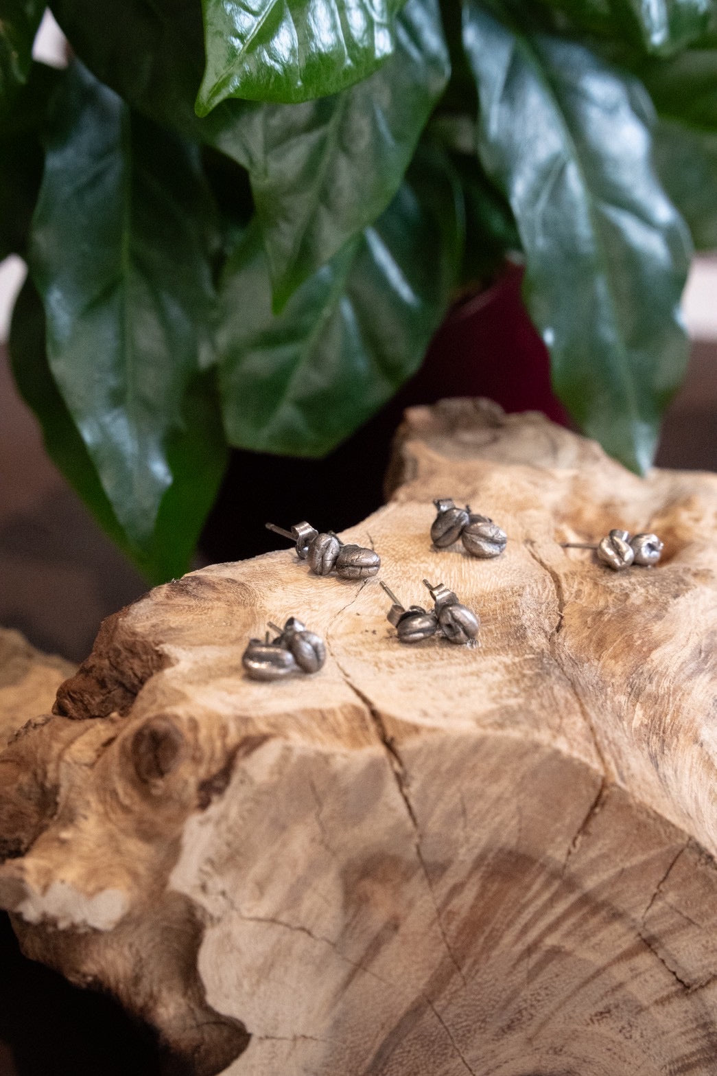 Small Bean Earrings