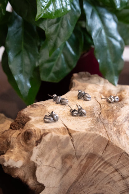 Small Bean Earrings