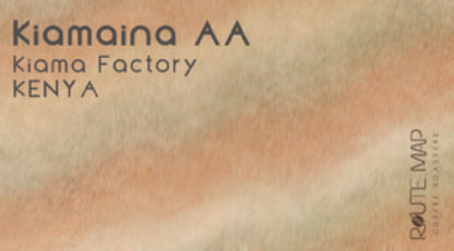 KENYA/Kiamaina AA