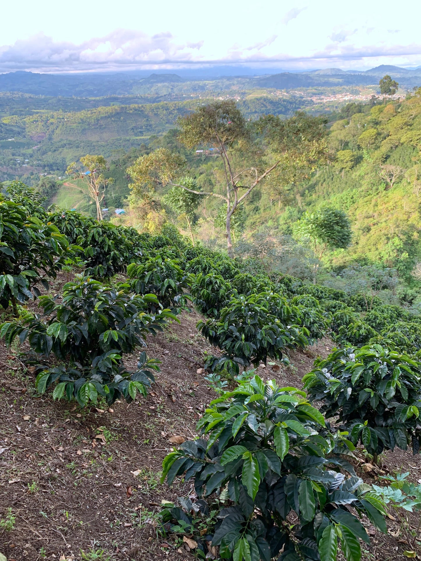 COLOMBIA/Fredi Ortega