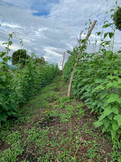 COLOMBIA/Edwin Burbano