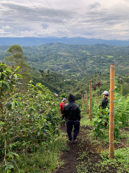 COLOMBIA/Edwin Burbano