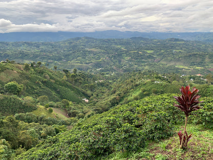 COLOMBIA/Edwin Burbano