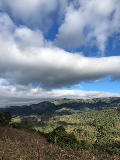 GUATEMALA/Randolfo Pacheco