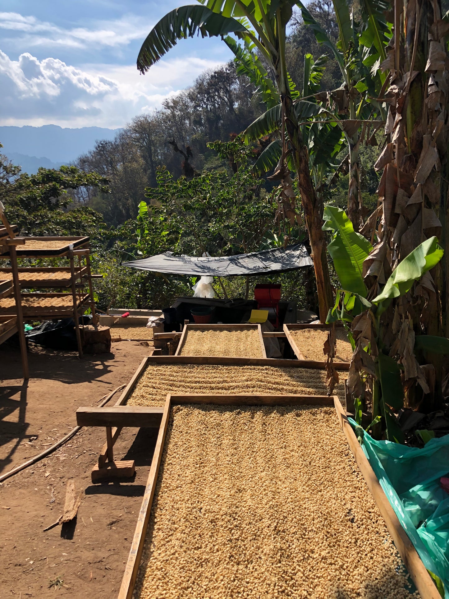 GUATEMALA/Randolfo Pacheco