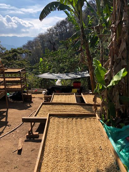 GUATEMALA/Randolfo Pacheco