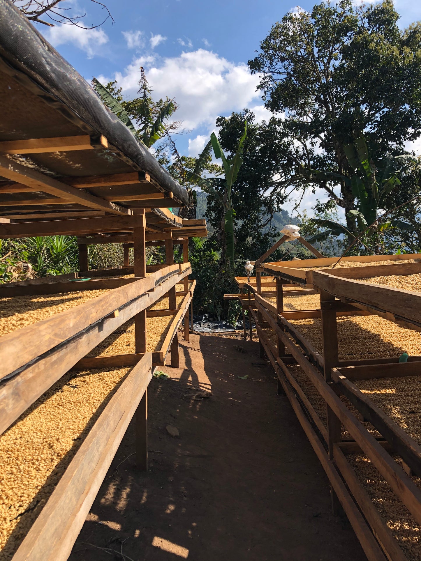 GUATEMALA/Randolfo Pacheco