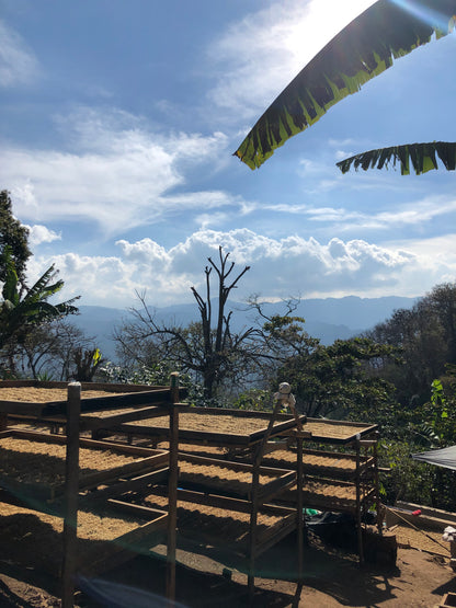 GUATEMALA/Randolfo Pacheco
