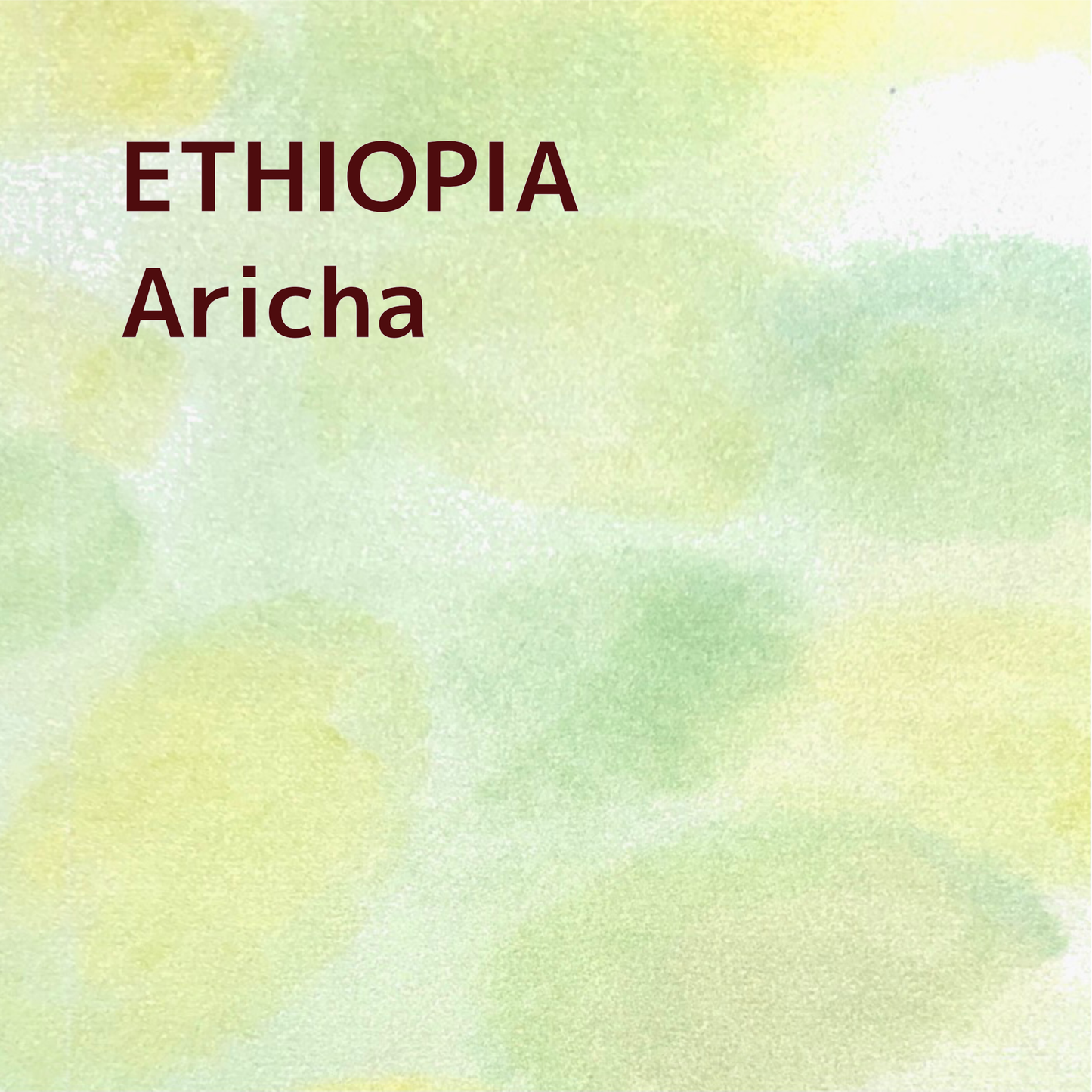 ETHIOPIA/Aricha