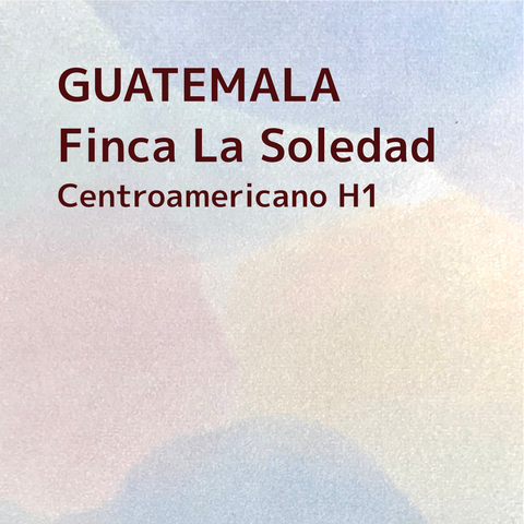 GUATEMALA/Finca La Soledad Centroamericano H1