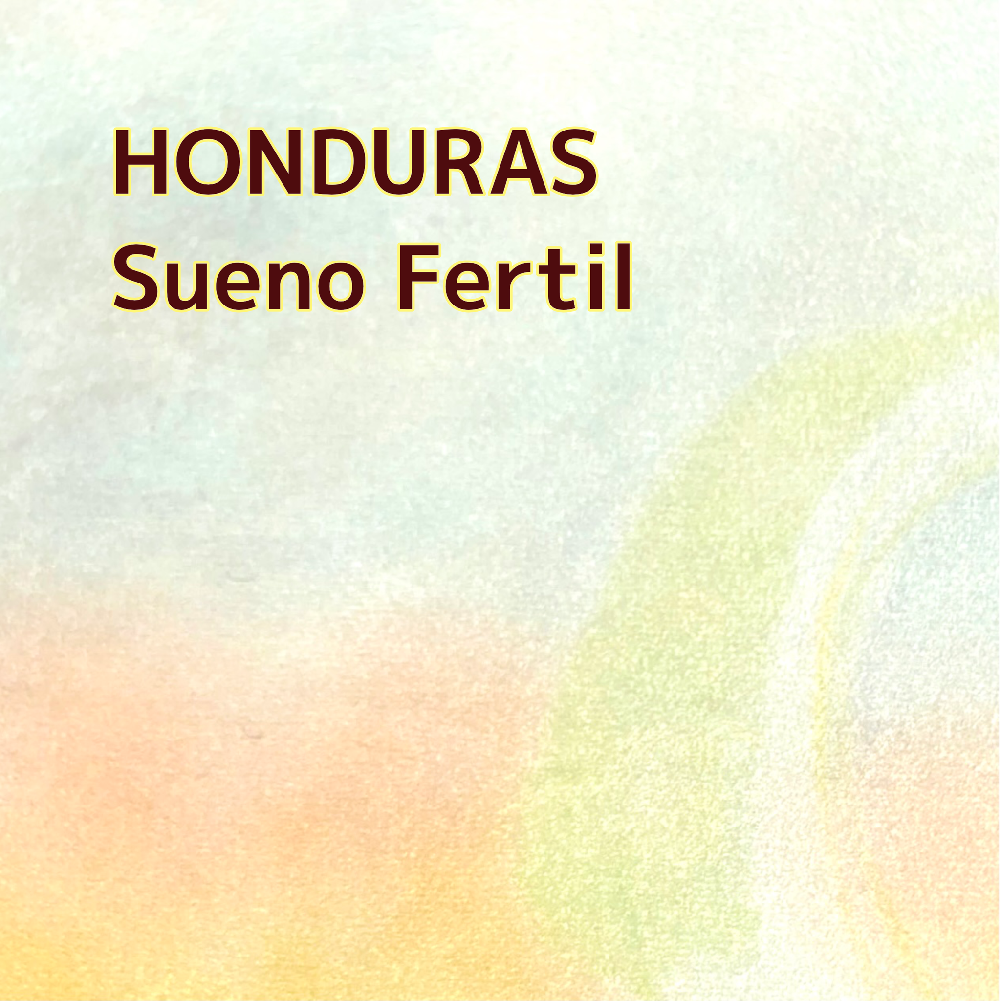 【Special Edition】HONDURAS/Sueno Fertil "COE入賞ロット"
