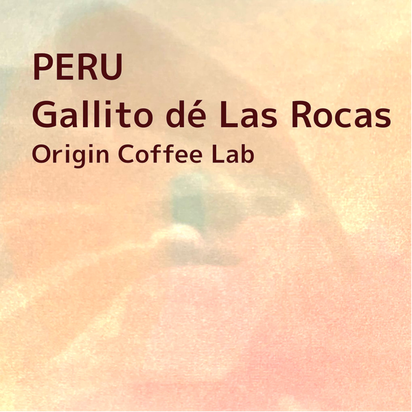 PERU/Gallito dé Las Rocas