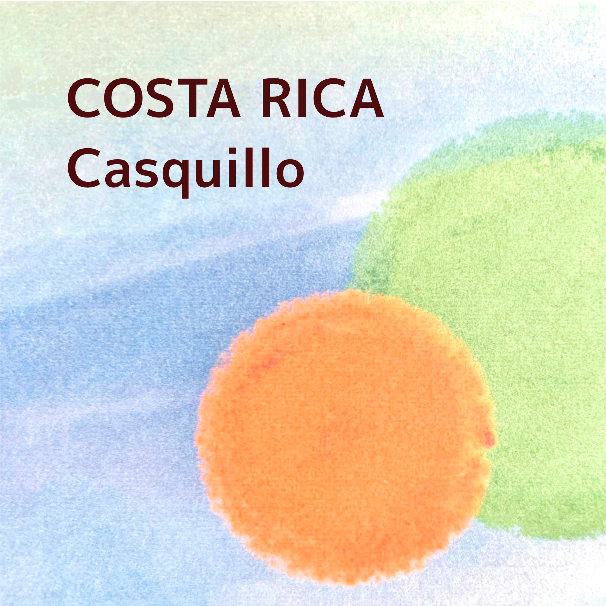 COSTA RICA/Casquillo
