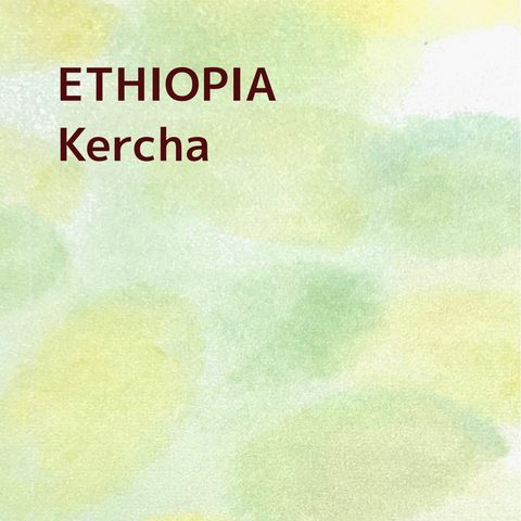 ETHIOPIA/Kercha