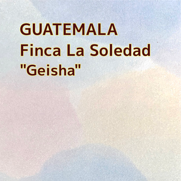 【Special Edition】GUATEMALA/Finca La Soledad "Geisha"