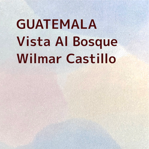 GUATEMALA/Vista Al Bosque