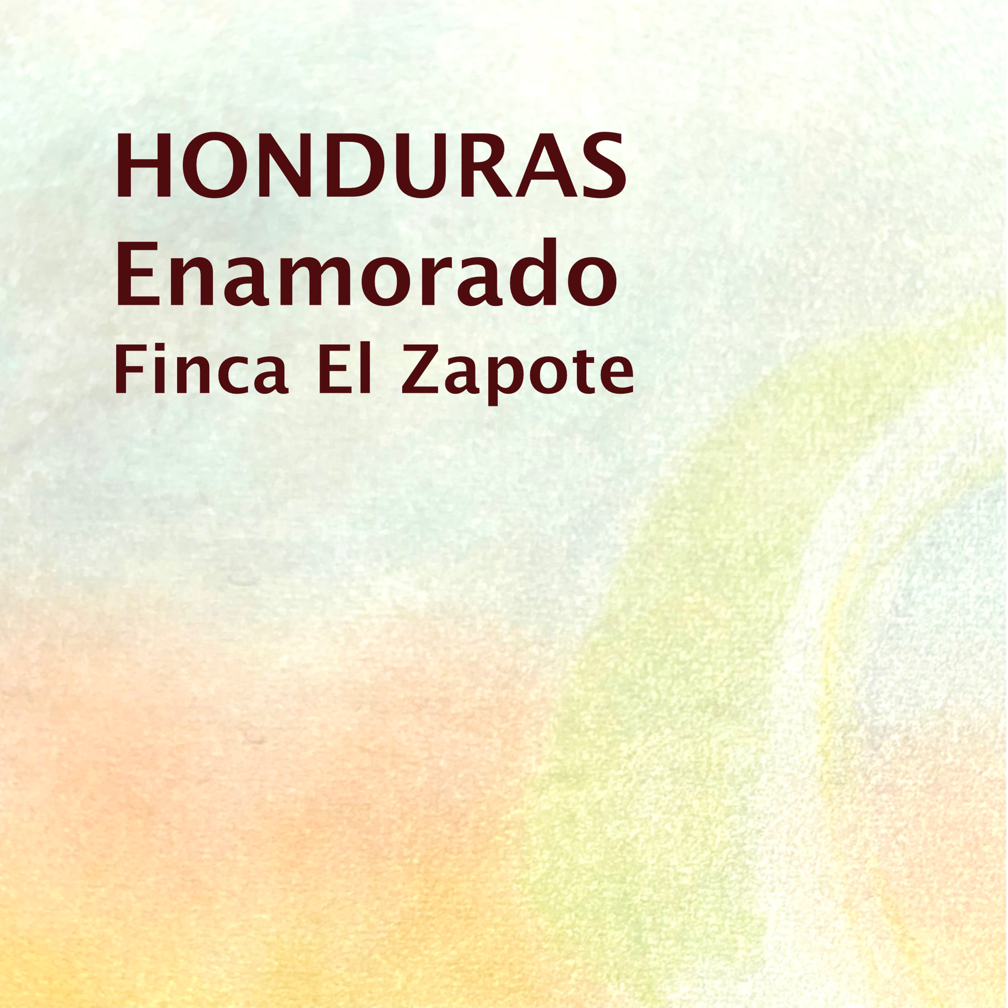HONDURAS/Enamorado Finca El Zapote