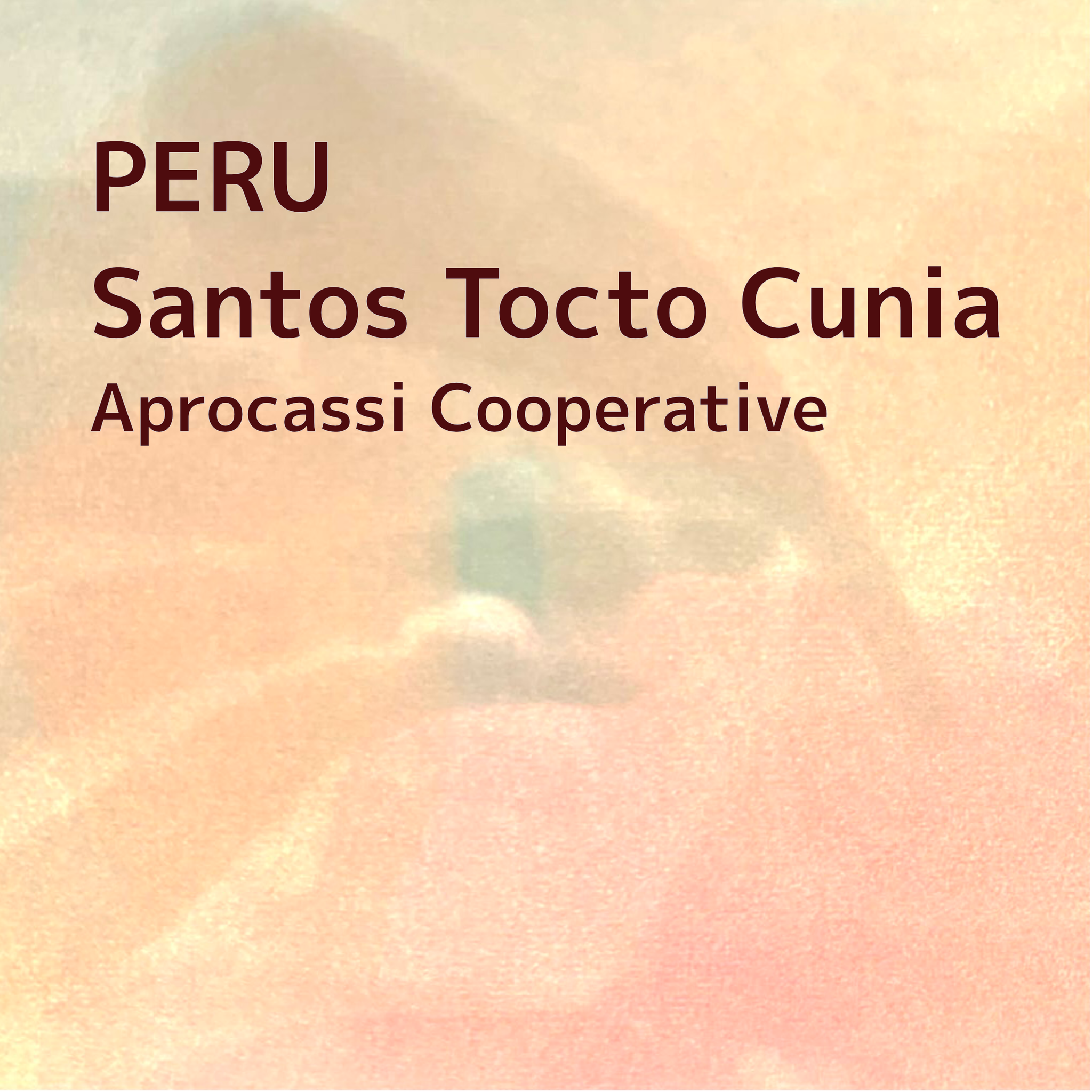 PERU/Santos Tocto Cunia